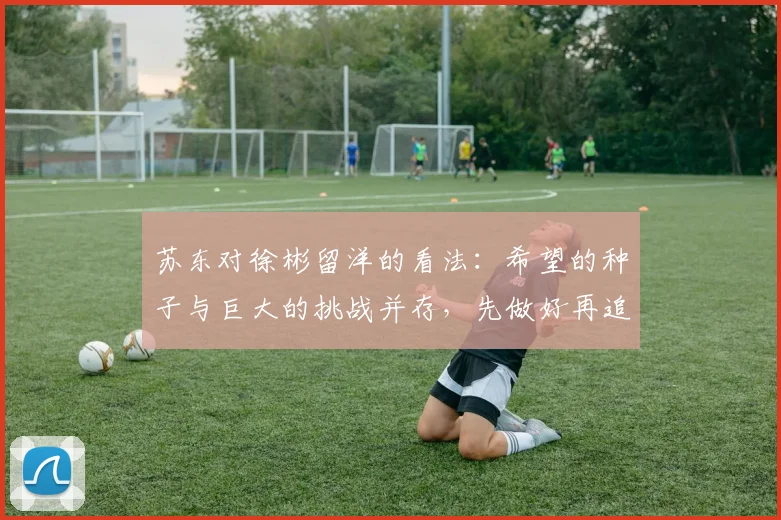 苏东对徐彬留洋的看法：希望的种子与巨大的挑战并存，先做好再追求完美
